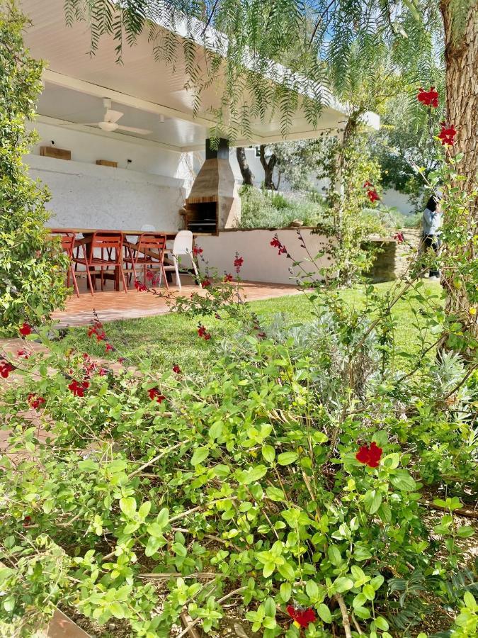 Ses Terrasses Apartment Cadaques Exterior photo